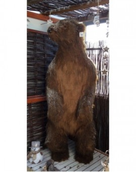 Addobbo natalizio animale orso bruno marrone naturale addobbo natele negozio